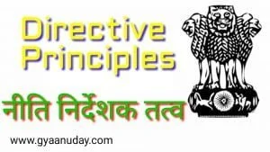 Read more about the article Directive Principles