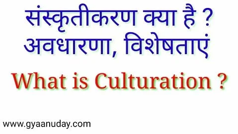 Read more about the article संस्कृतिकरण क्या है